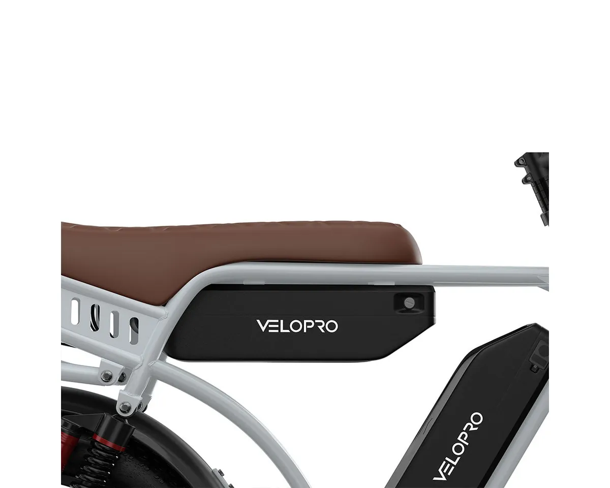 Les deux batteries amovibles du VELOPRO M9 (ex PIXAR M9), sous la selle et dans le cadre