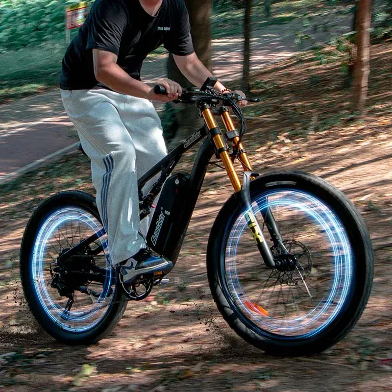 ChamRider DH420 VTT électrique tout-terrain image 2