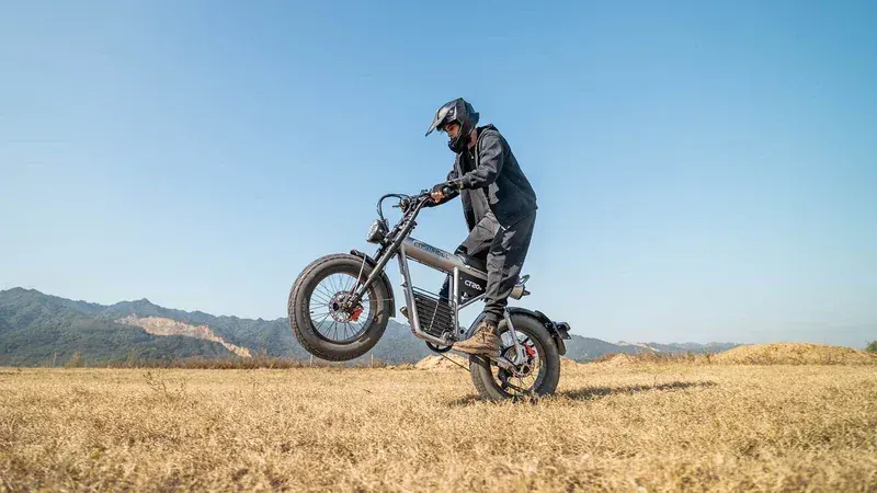 Coswheel CT20S Vélo électrique Fat Bike tout-terrain image 7