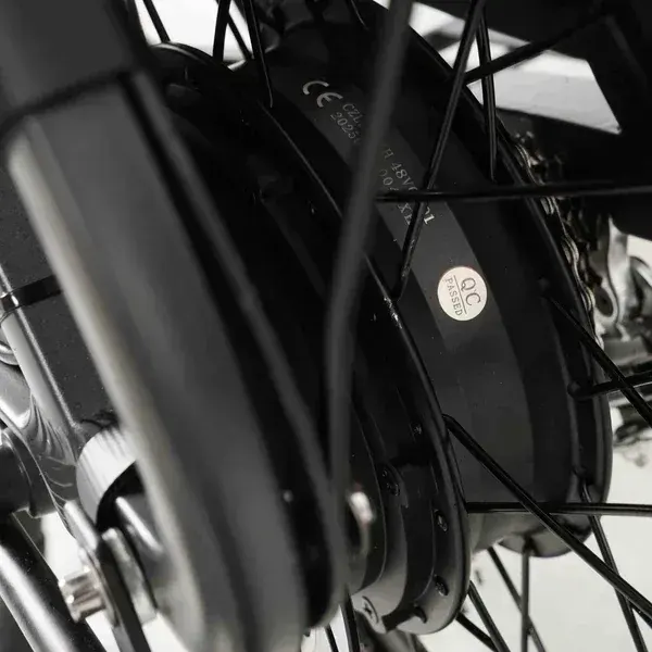 Coswheel HQ20 Vélo Cargo Électrique image 7