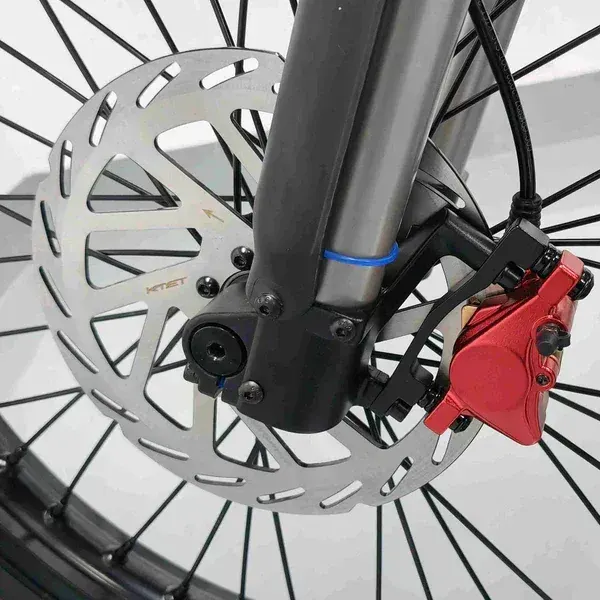 Coswheel R19 Vélo électrique tout-terrain image 11
