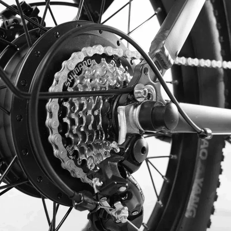 Coswheel Y20L Vélo électrique pliant image 12