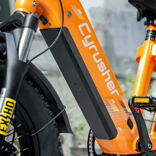 Cyrusher Glider Vélo Cargo Électrique image 12