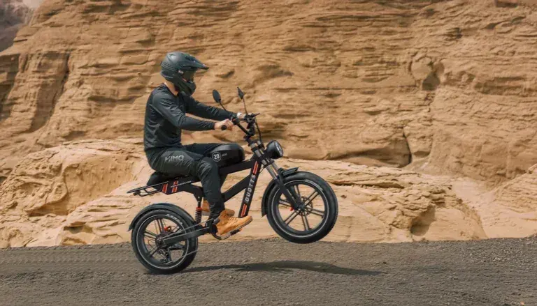 Duotts F20 Vélo électrique Fat Bike pliant image 4