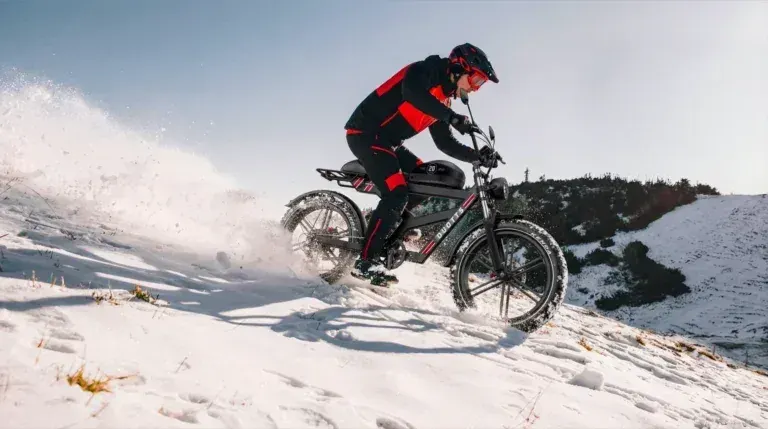 Duotts F20 Vélo électrique Fat Bike pliant image 5