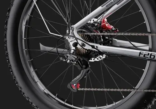 Duotts F26 – Vélo électrique Fat Bike image 5