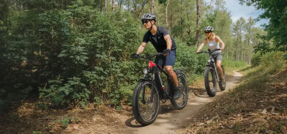 Duotts F26Lite – Vélo électrique Fat Bike image 3