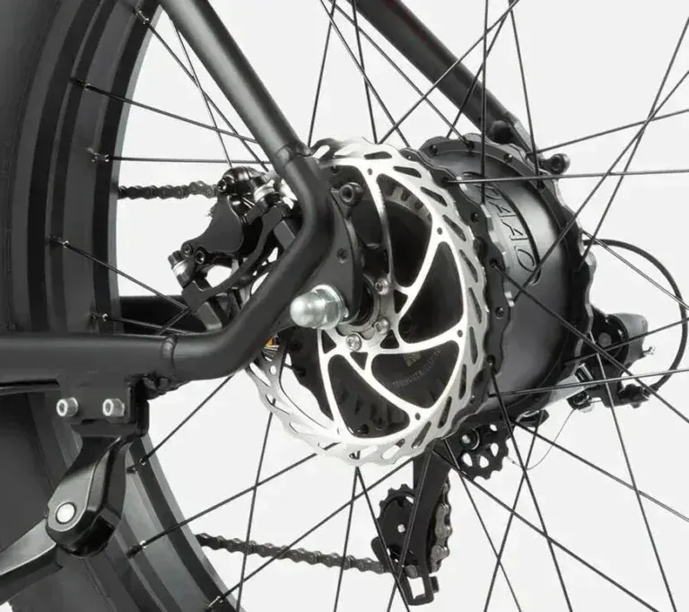 DYU King 750 Vélo électrique Fat Bike 26 pouces image 4