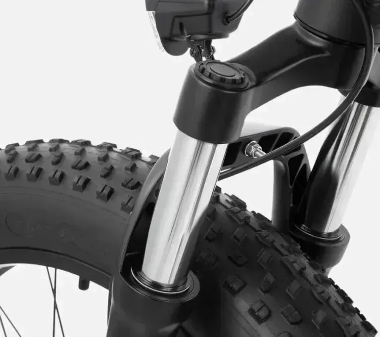 DYU King 750 Vélo électrique Fat Bike 26 pouces image 5