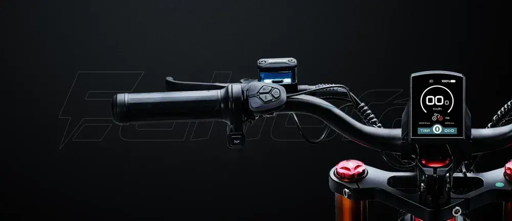 Eahora Romeo Pro II – Vélo électrique fat bike image 3