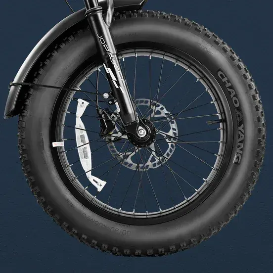 Eahora Terra II Vélo Électrique Fat Tire image 10
