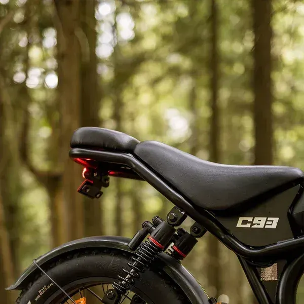 Emoko C93 Vélo Électrique Fat Bike Double Moteur image 12