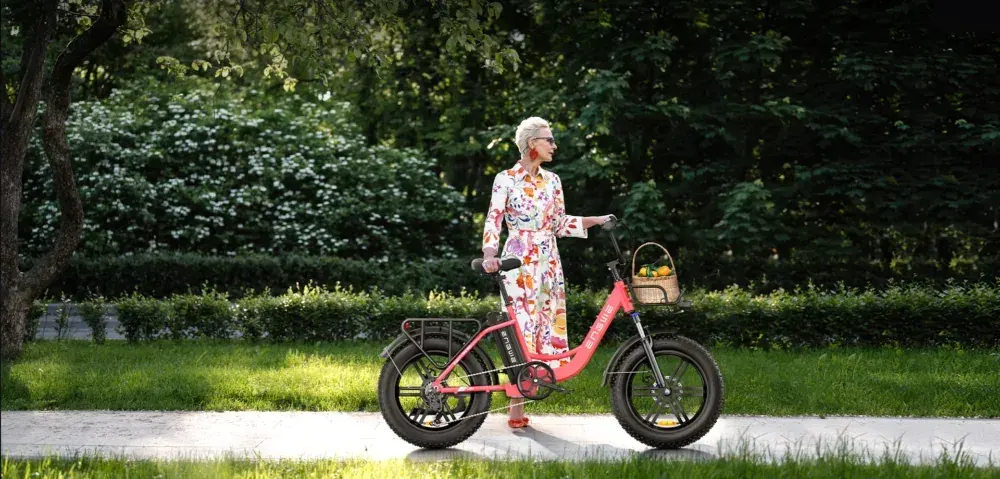 Engwe L20 Vélo Électrique Fat Bike Pliable image 5