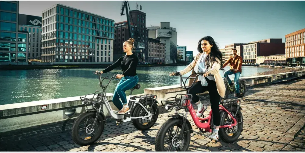 Engwe L20 Vélo Électrique Fat Bike Pliable image 6