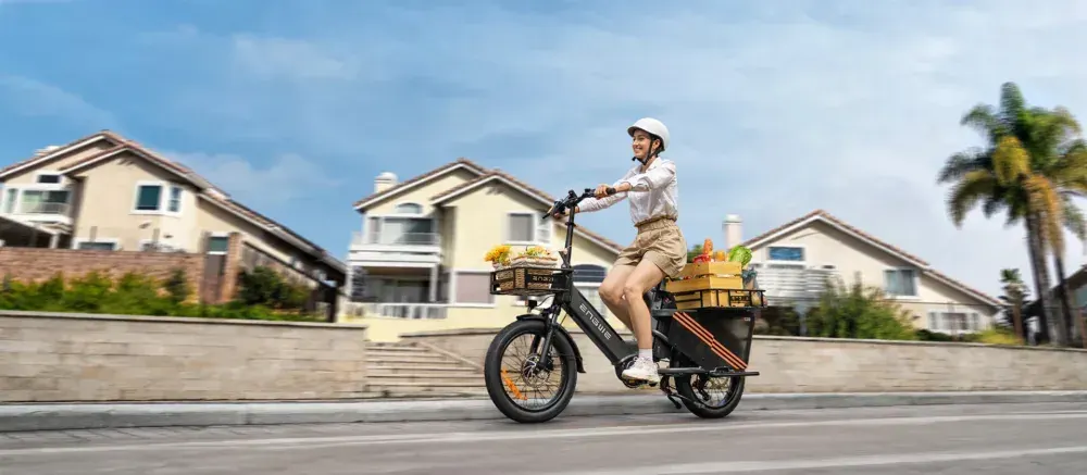 Engwe LE20 Vélo Cargo Électrique image 10