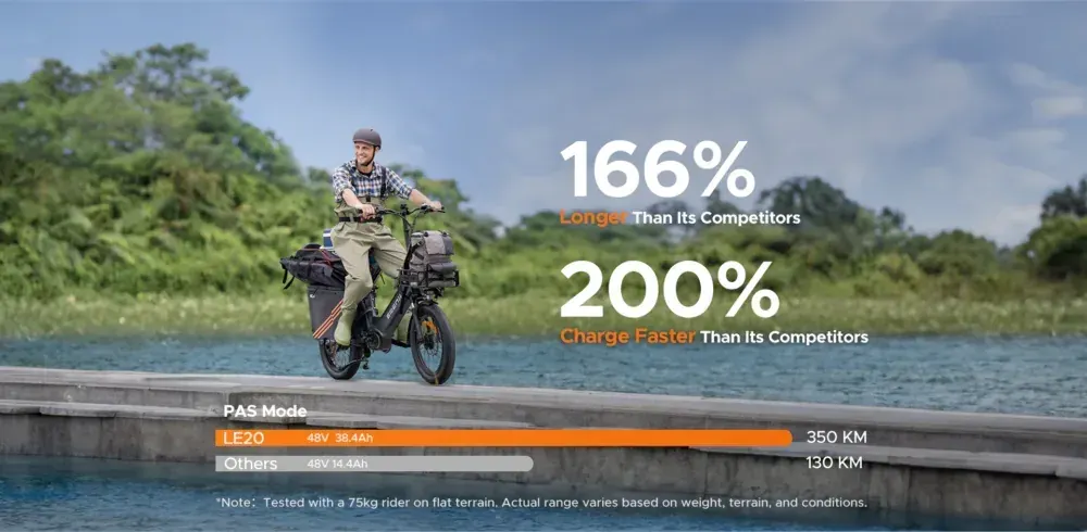 Engwe LE20 Vélo Cargo Électrique image 6