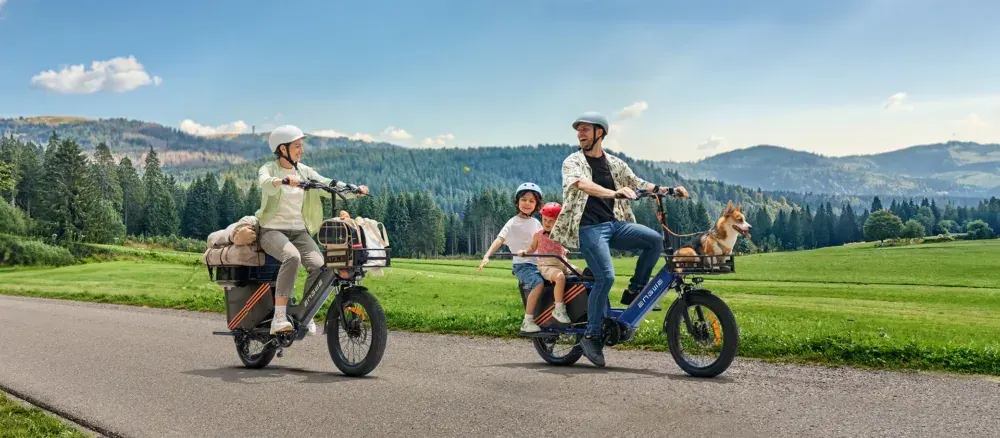 Engwe LE20 Vélo Cargo Électrique image 9