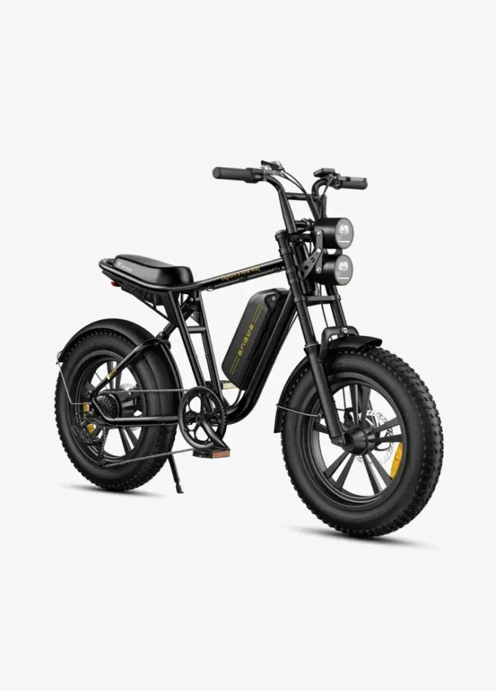 Engwe M20 Vélo électrique fat bike double batterie image 13