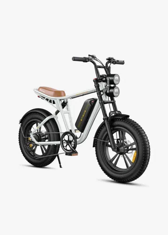 Engwe M20 Vélo électrique fat bike double batterie image 14