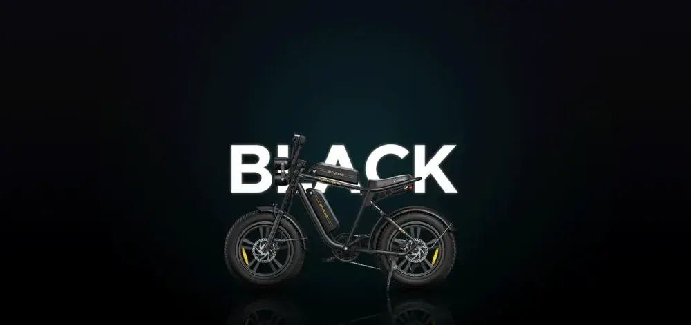 Engwe M20 Vélo électrique fat bike double batterie image 9