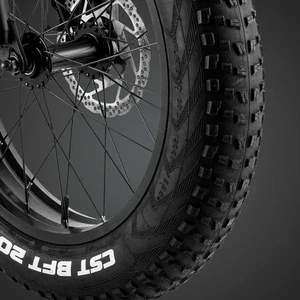 Fafrees F20 Master – Vélo électrique Fat Bike image 9