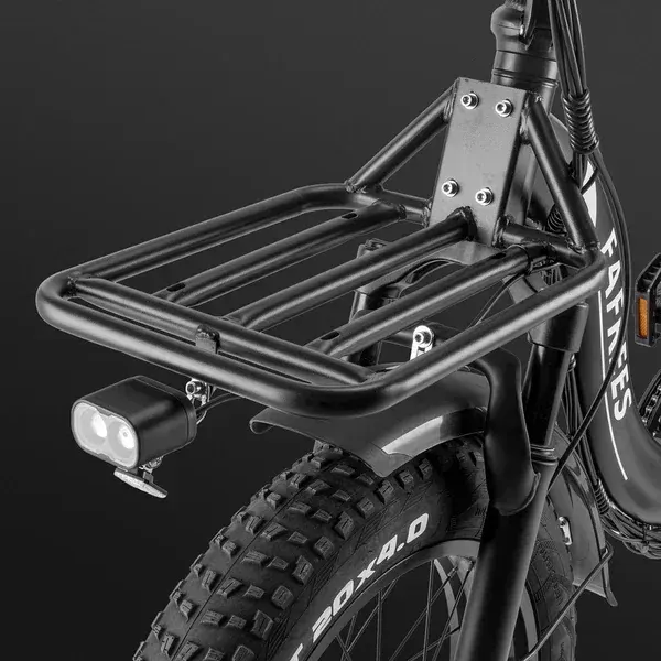 Fafrees F20 X-Max Vélo Cargo Électrique image 11