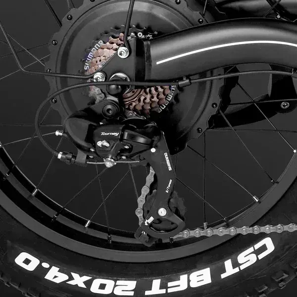 Fafrees F20 X-Max Vélo Cargo Électrique image 9