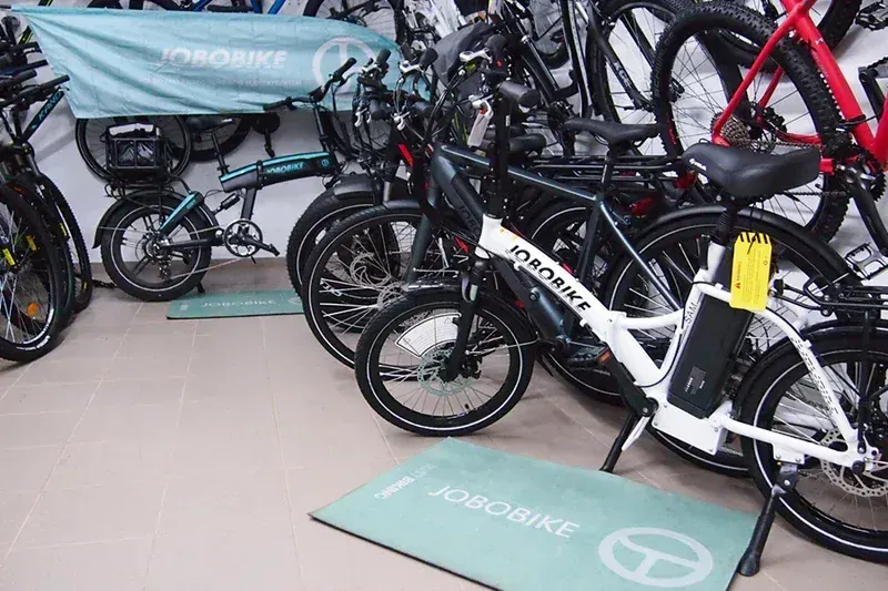 Fafrees FF20 Polar Vélo électrique pliant Fat Tire, photo du produit