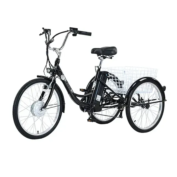 Gogobest GF100 Tricycle Cargo Électrique image 4