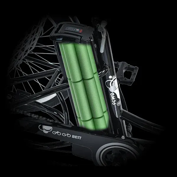Gogobest GF100 Tricycle Cargo Électrique image 5