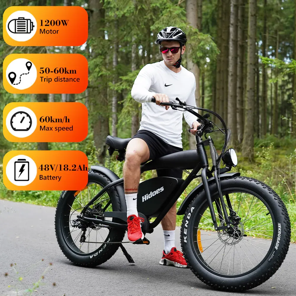 Hidoes B3 Vélo Électrique Fat Tire image 9