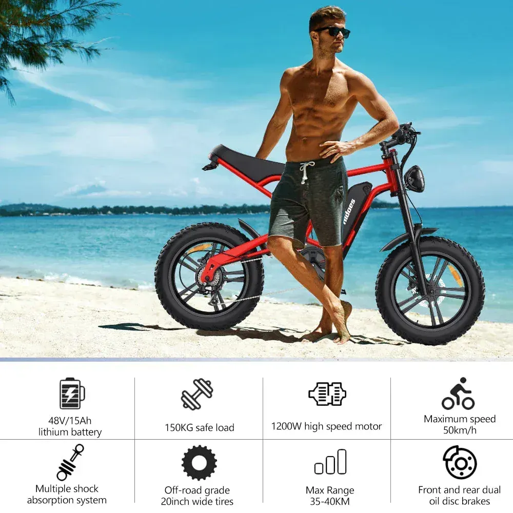 Hidoes B6 Vélo électrique Fat Tire image 10
