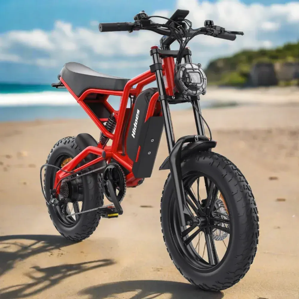 Hidoes B6 Vélo électrique Fat Tire image 12