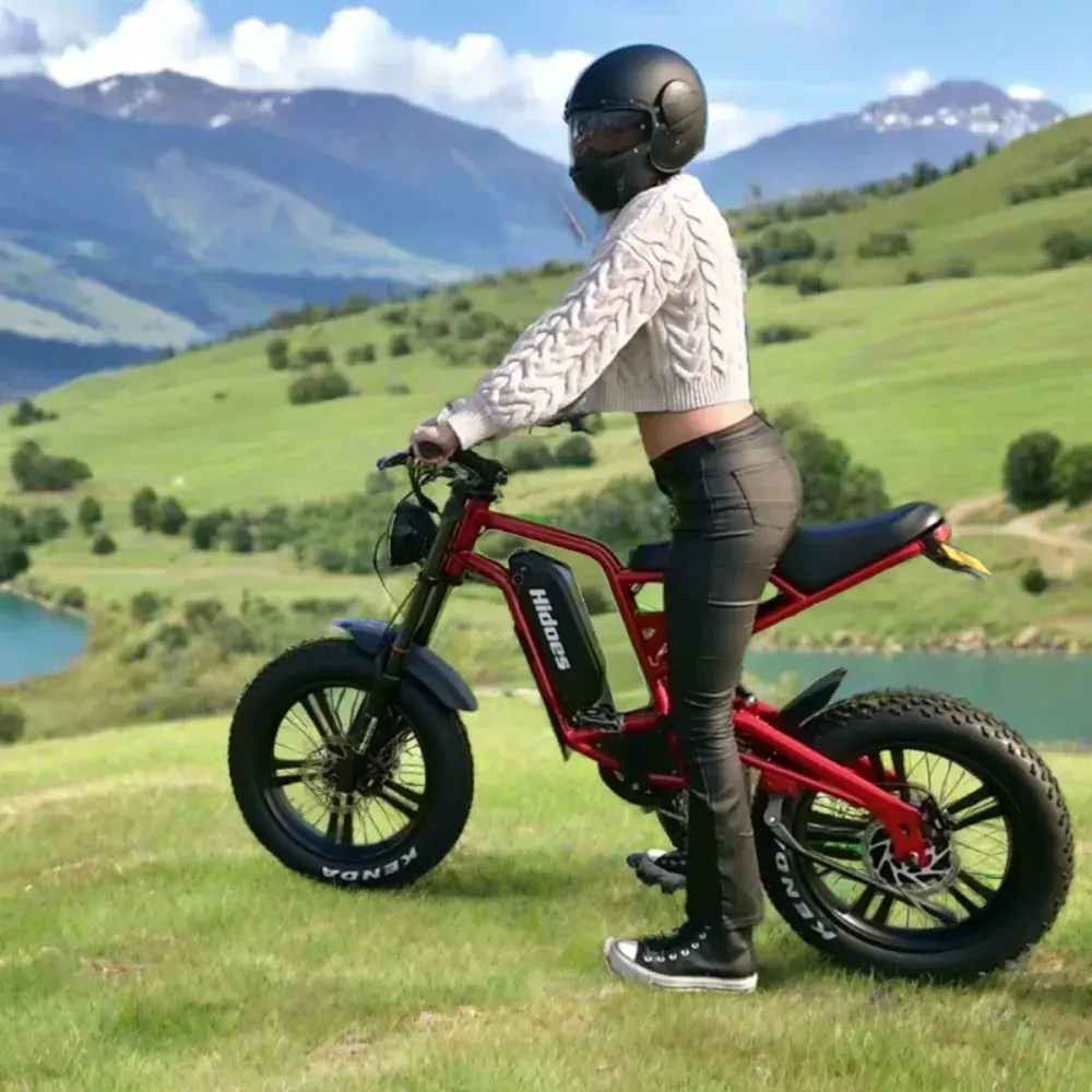 Hidoes B6, moteur 1200W visible sur la roue arrière.