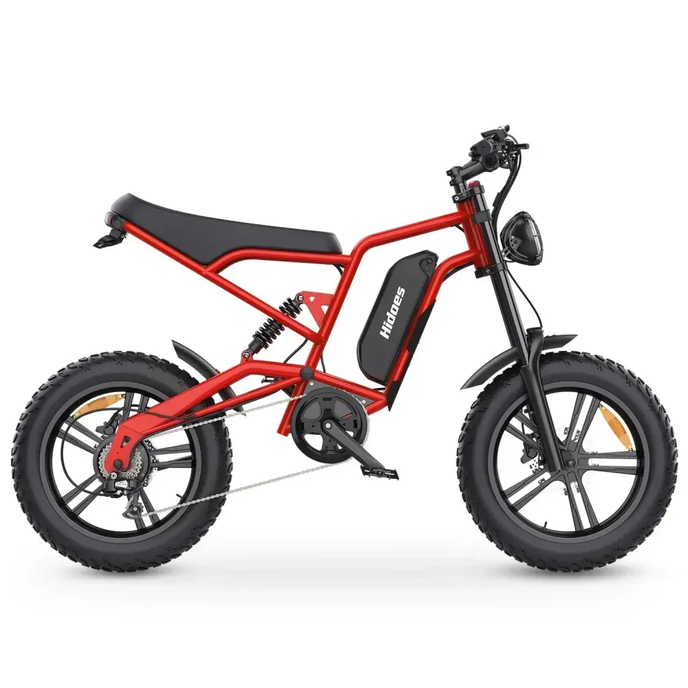 Hidoes B6 Vélo électrique Fat Tire image 8