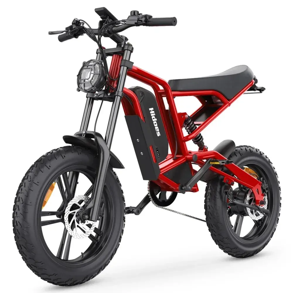 Hidoes B6 Vélo électrique Fat Tire image 9