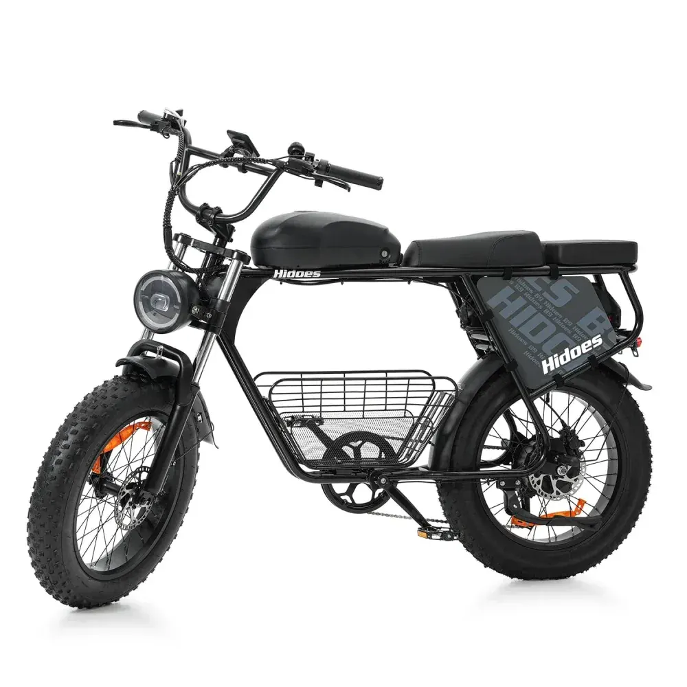 Hidoes B9 Vélo électrique Fat Bike double batterie image 9