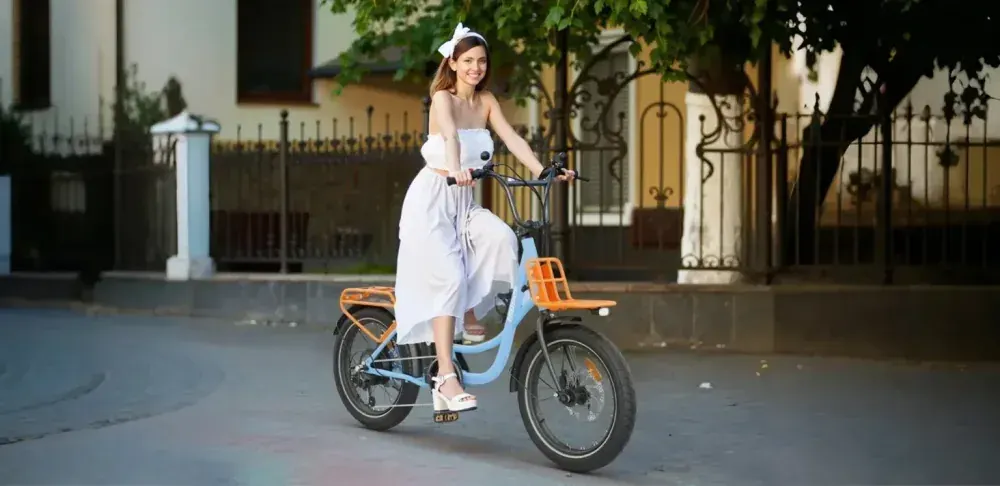 Hidoes C6 Vélo Électrique Urbain Tout Suspendu image 2