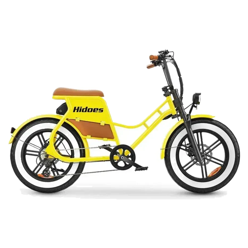 Hidoes C8 Vélo électrique Fat Tire image 1