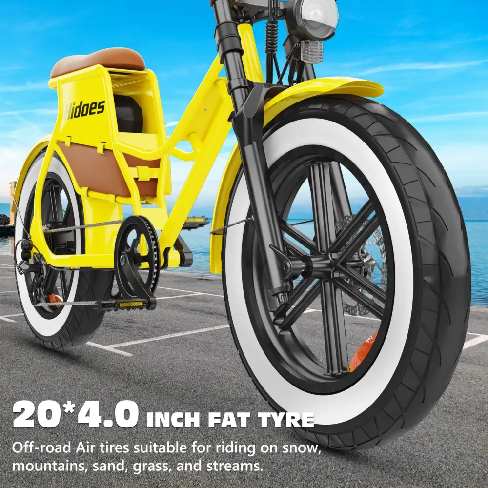Hidoes C8 Vélo électrique Fat Tire image 10