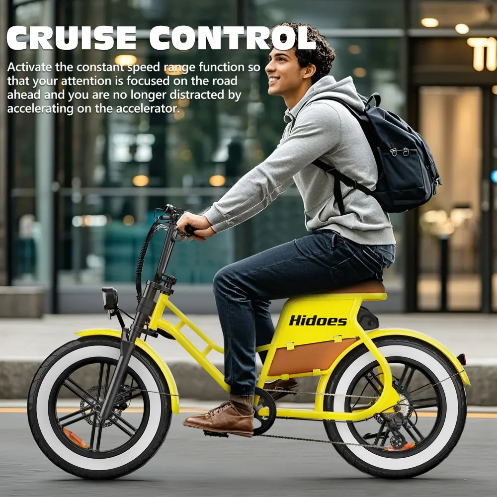 Hidoes C8 Vélo électrique Fat Tire image 9