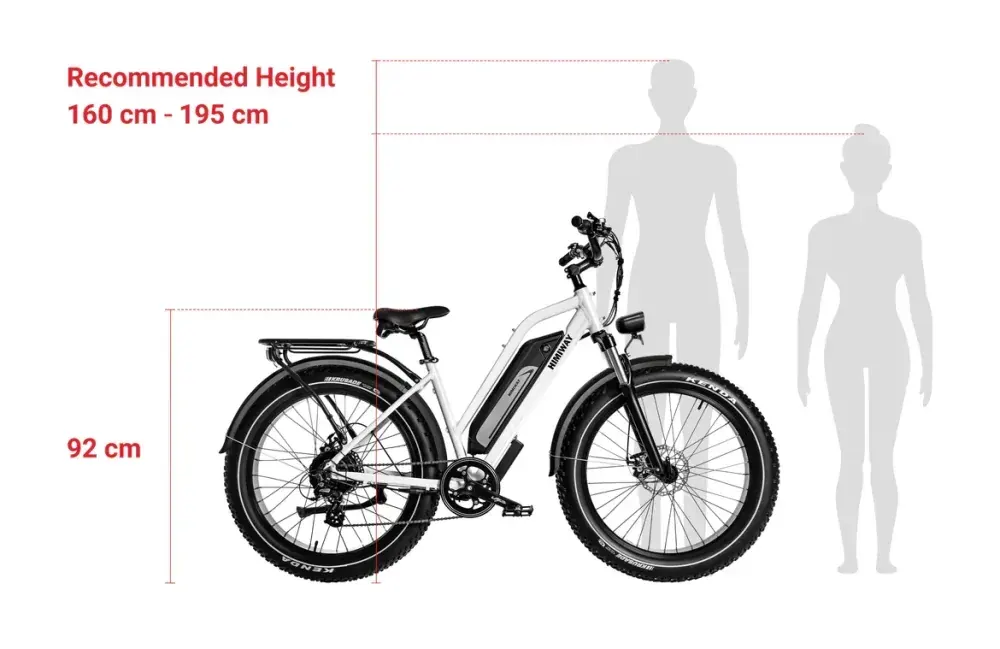 Himiway D3 – Vélo électrique tout-terrain Fat Tire image 3