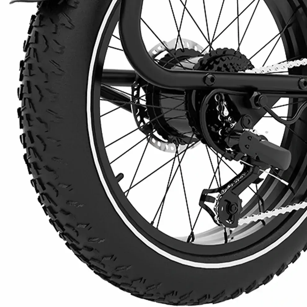 Koolux X7 Vélo Cargo Électrique image 6