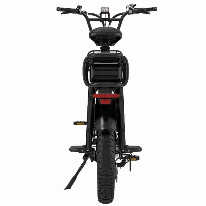 Freins hydrauliques du Koolux X8, poignée et étrier sur roue avant.