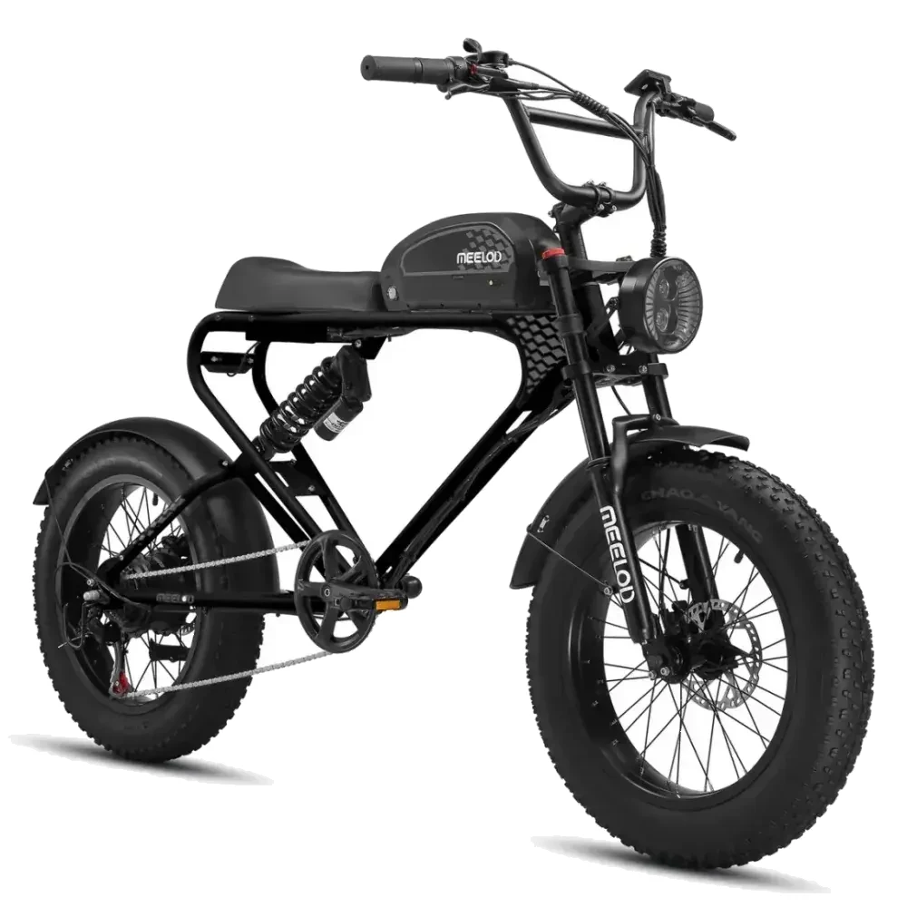 Meelod DK300 PLUS Vélo électrique Fat Tire image 1