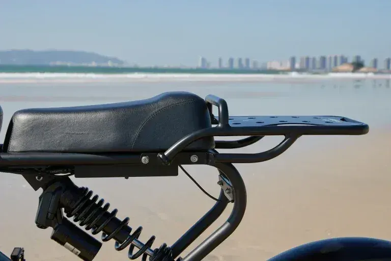 Meelod DK300 PLUS Vélo électrique Fat Tire image 9