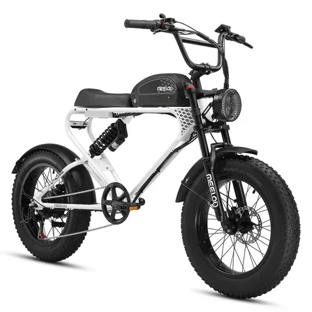 Meelod DK300 PLUS Vélo électrique Fat Tire image 12