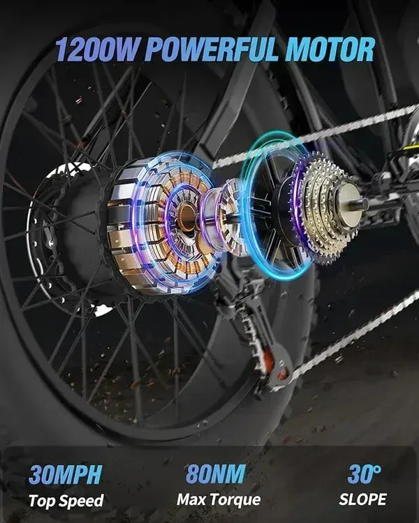 Ridstar Q20 Lite – Vélo électrique Fat Tire image 6