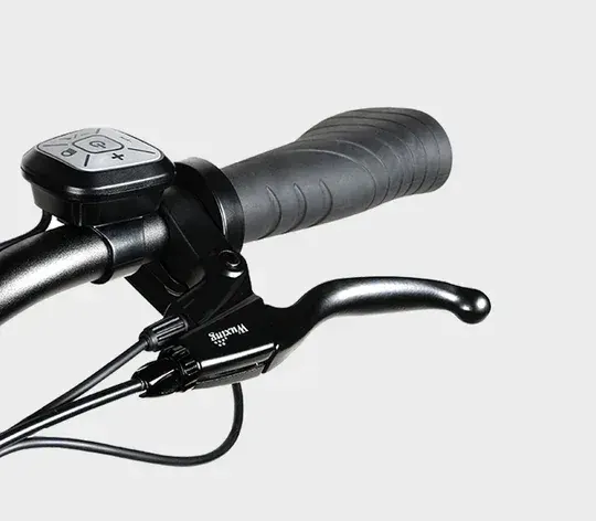 Samebike RS-A01 Pro Vélo électrique urbain image 10