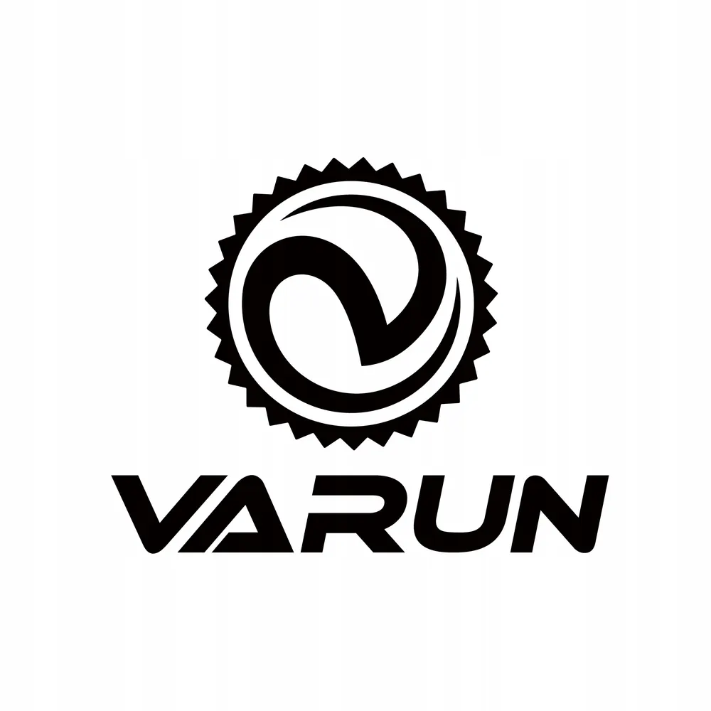 Moteur 250 W du VTT électrique VARUN, assistance puissante jusqu'à 25 km/h